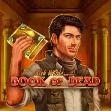 Book of Dead online slot from Play'n GO – play at bwin-belgium.com